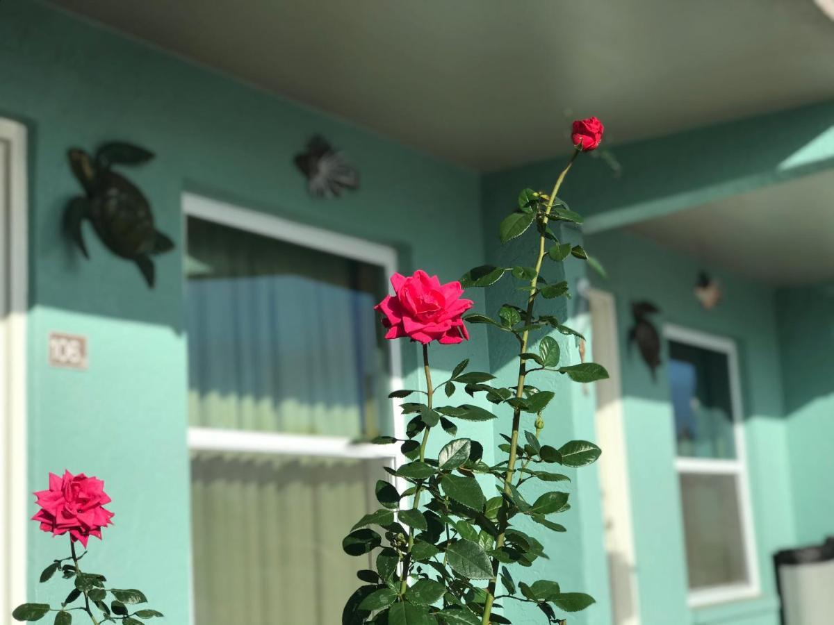 Immokalee Inn מראה חיצוני תמונה